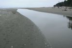 PICTURES/Kalaloch Lodge & Beach Olympic NP/t_P1260629.JPG